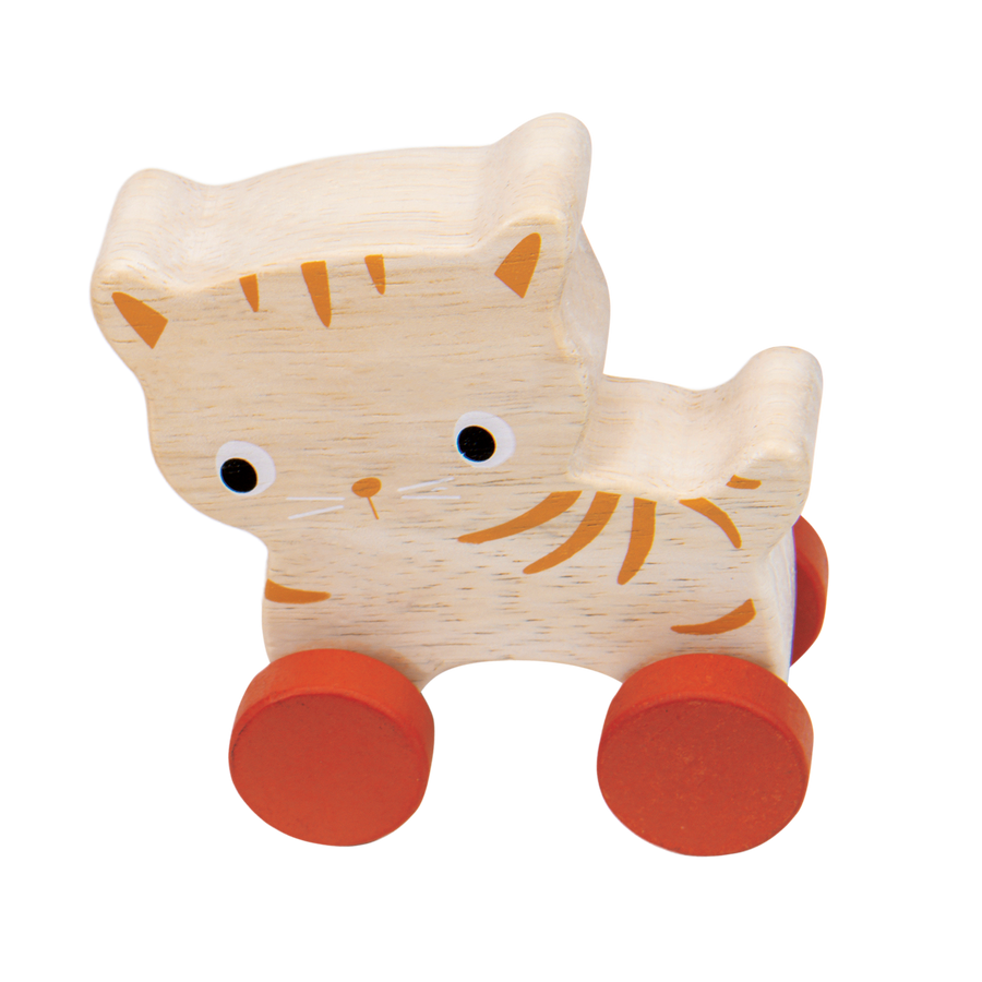 Rolling Kitten